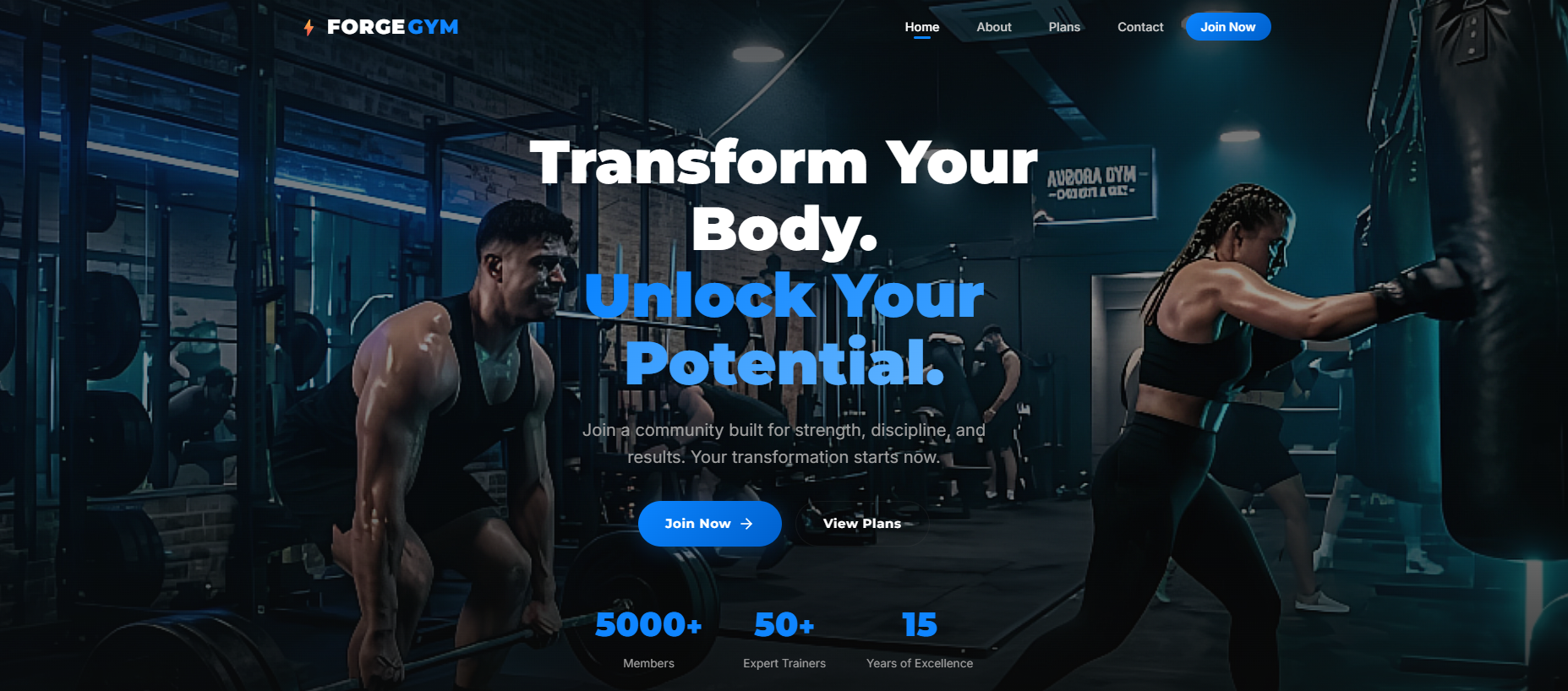 Proyecto inmobiliaria